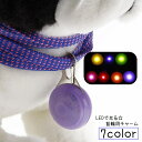 送料無料 ペット用アクセサリー 首輪用チャーム 首輪アクセサリー 光る LEDライト 犬 猫 ドッグ キャット ペット用品 ペットグッズ 電池式 ボタン電池 丸...