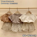 送料無料 ショートパンツ Tシャツ 単品 キッズ ベビー 子供 女の子 男の子 ウエストゴム 半袖 ラウンドネック 無地 シンプル ドット柄 ストライプ柄 チェック柄 トップス ボトムス ハーフパンツ カットソー お洒落 カジュアル 普段使い お出かけ 子供服
