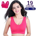 送料無料 ブラジャー スポーツブラ インナー 下着 単品 レディース 無地 3/4カップ ノンワイヤー パッド付き リラックス 伸縮性 ヨガ フィットネス スポ...