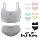 送料無料 ジュニア ブラジャー スタンダードショーツ 上下セット カップ付き ハーフトップブラ インナー 下着 無地 かわいい 取り外し可能 シンプル 無地 パ...