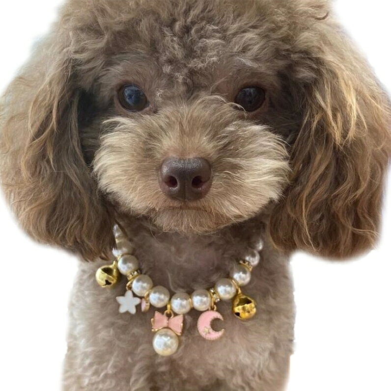 送料無料 ペット用チョーカー ネックレス ペット用品 アクセサリー チャーム 犬用 ...