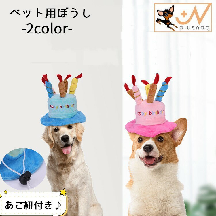 ケーキ（ペット用） 送料無料 ペット用帽子 犬 猫 中型犬 小型犬 大型犬 ペット用品 ハット 誕生日 お祝い ロウソク ケーキ ピンク ブルー 起毛 あご紐 可愛い