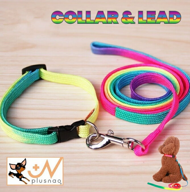 送料無料 リード＆首輪セット 2点セット 犬用 猫用 リード カラー 散歩紐 鈴付き 首輪 お散歩グッズ グ..