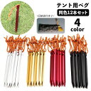 送料無料 テントペグ Y字タイプ 12本セット アウトドア キャンプ タープペグ ロープ付き 軽量 18cm 設営 固定ピン 固定用釘 バーベキュー ハイキング ビーチ 砂浜 テントアクセサリー 屋外 野外