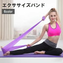 送料無料 エクササイズバンド トレーニングチューブ ストレッチ 引き締め 筋トレ リハビリ フィットネス ダイエット ヨガ ゴム コンパクト 省スペース 軽量 ...