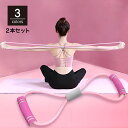 送料無料 トレーニングチューブ 筋トレチューブ トレチューブ 2本セッ...(4)
