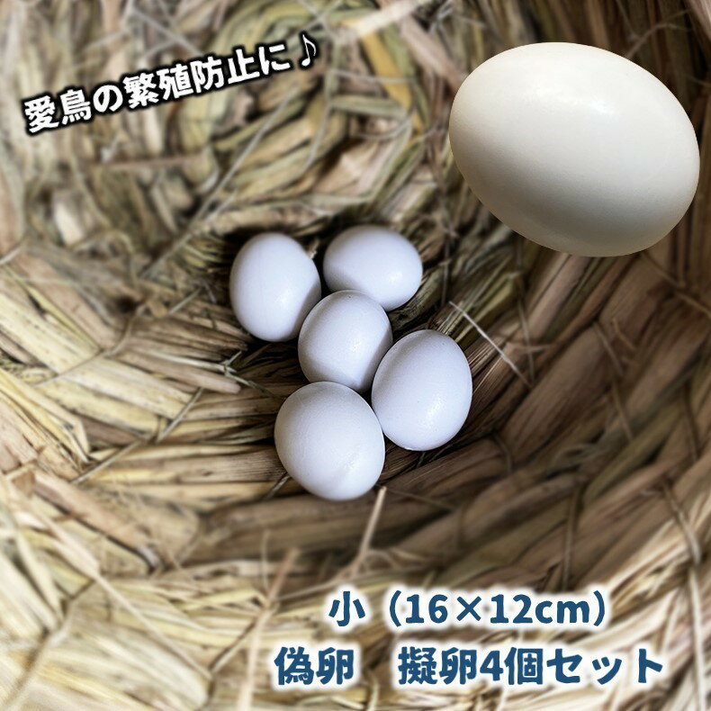 送料無料 偽卵 擬卵 4個セット 12×16mm ダミー卵 フェイク卵 小鳥 愛鳥 セキセイインコ 繁殖抑制 長寿 抱卵 個体数管理 フェイクバードエッグ