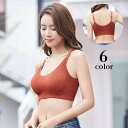 送料無料 ハーフトップブラ ノンワイヤー ブラジャー レディース インナー パッド付き 女性下着 肌着 リブ 無地 ソリッドカラー シンプル カジュアル ラフ リラックス