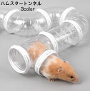 送料無料 ペット用おもちゃ ハムスタートンネル ハムスターパイプ 小動物用 アスレチックパイプ ショートパイプ 連結 組み立て DIY ストレス発散 遊び 運動...