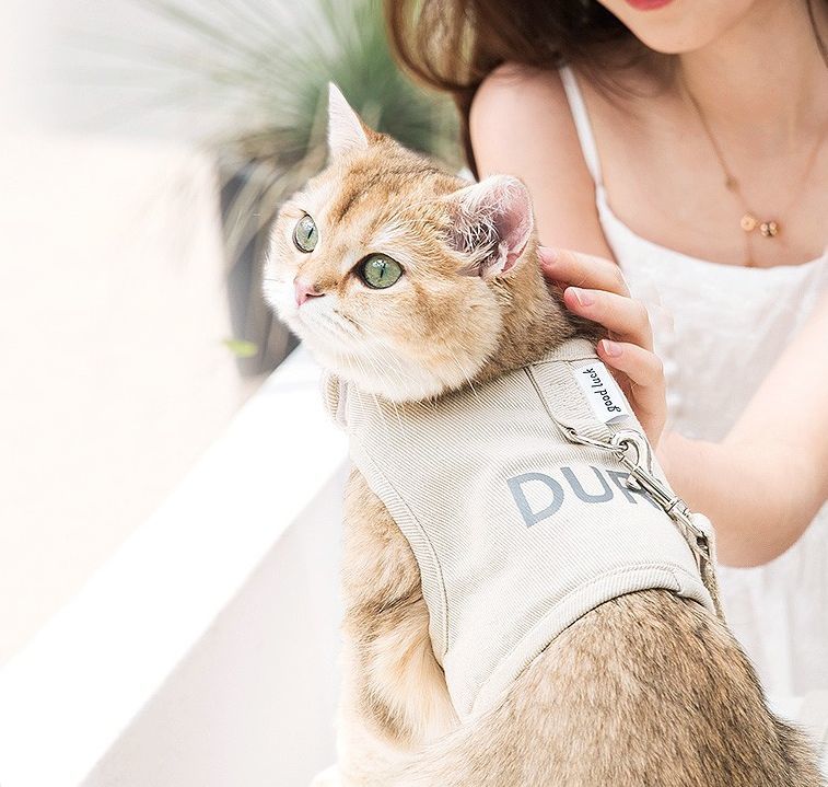 送料無料 猫用 ハーネス リード 2点セット キャットウェア ペット用 ペット用品 北...