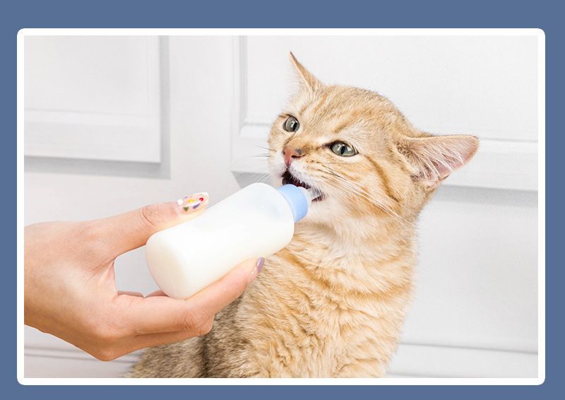 送料無料 ペット用 哺乳瓶 子猫 子犬 哺乳器...の紹介画像2