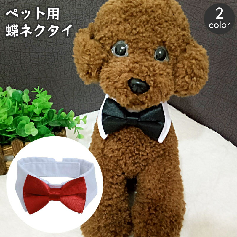 送料無料 ペット用ネクタイ 蝶ネクタイ ペット用付け襟 コスプレ つけ襟 犬用 猫用 小型犬 カラー ...