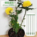 送料無料 園芸支柱 20本組セット 27cm 支柱 観葉植物 花ささえ 花支え ガーデニング用品 園芸用資材 固定 農業用 家庭菜園 散乱予防 転倒予防 組み立...
