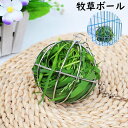 送料無料 牧草ボール 牧草入れ エサ入れ ボール型 吊り下げ式 小動物用食器 ウサギ 餌ボール 球体 フック付き ゲージ うさぎ モルモット ペットグッズ
