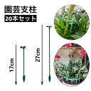 送料無料 園芸支柱 20本セット 17cm 27cm 観葉植物 園芸 誘引 サポート 支え 簡単 設置 固定 転倒予防 植木鉢 ガーデニング用品