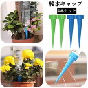 送料無料 給水キャップ 4本セット 観葉植物 留守 旅行 自動 水やり 散水 灌漑 ペットボトル ノズル ガーデニング 園芸 盆栽 野菜 プランター 便利