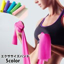 送料無料 エクササイズバンド トレーニングチューブ ゴムバンド ストレッチ 筋トレ 伸ばす フィットネス ピラティス ヨガ 運動不足解消 スポーツ器具 おうち 自宅