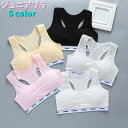 送料無料 ジュニアブラ キッズ ジュニア インナー 女の子 女児 下着 ブラジャー ノンワイヤー パット入り 取外し可能 スポーツブラ シンプル