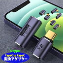送料無料 変換アダプター Type-C to Type-C 単品 中継...(2)