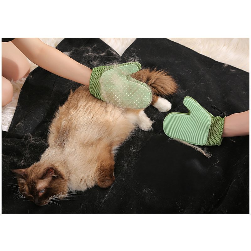 ����̵�� ���롼�ߥ󥰥������� ���롼�ߥ󥰥֥饷 �ڥå��ѥ֥饷 �Ҽ��� ���� ���� ñ�� �� ǭ ���޷��֥饷 ���롼�ߥ󥰼��� �֥�å��󥰥������� �ڥå����� ȴ���Ӽ�� �������� �Ӷ�