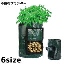 送料無料 不織布プランター プランター 植木鉢 鉢 生活雑貨 ガーデニング雑貨 バケツ型 筒形 ラウンド サイド窓 無地 シンプル 栽培