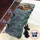 送料無料 爬虫類用 両生類用 浮島 日なたぼっこ台 テラス 吸盤 バスキング 日光浴 休憩 水槽 アクアリウム 亀 カメ トカゲ イモリ