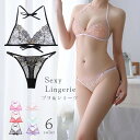 送料無料 ブラショーツセット 三角ブラ Tバック 上下セット レディース 女性 婦人 インナー 下着 ショーツ ブラジャー レース 透け感 紐