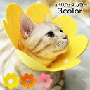 送料無料 エリザベスカラー 猫用 犬用 ペット用品 ペットグッズ ケア用品 傷舐め防止 ひっかき防止 傷口保護 術後 介護 皮膚病 花 フラワー かわいい キャット ドッグ 犬 小型犬