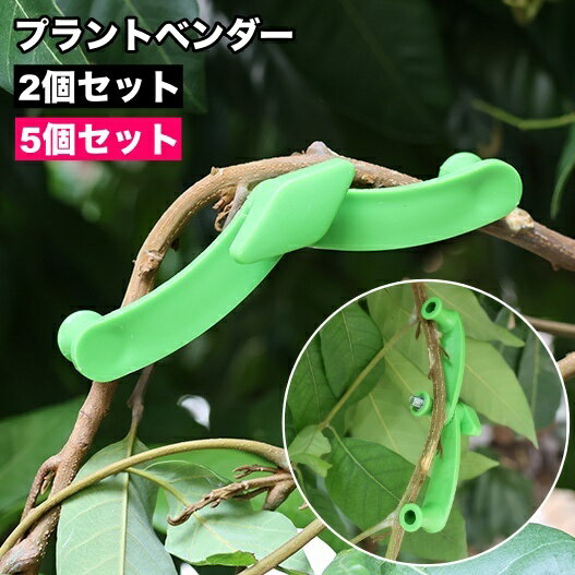 ̵ ץȥ٥ 5ĥå ץȥȥ졼˥󥰥å  ǥ˥󥰻 ʪηԤʤ ݡȥå ȥ졼˥ å ...