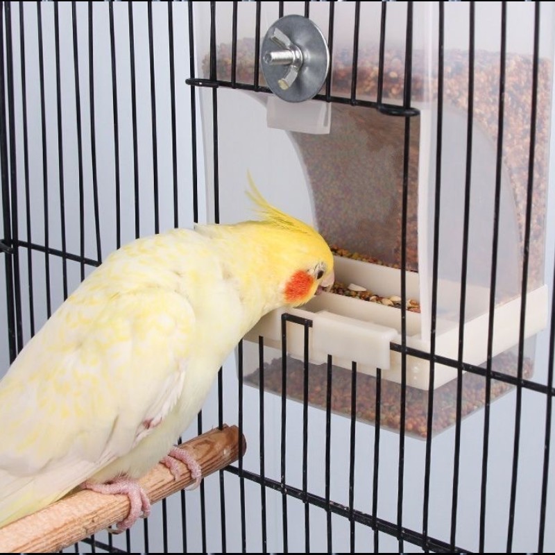鳥用フードフィーダー バードフィーダー 自動給餌器 250g 旅行 お留守番 餌入れ 餌台 エサ入れ 小鳥 野鳥 オウム インコ - angle 2