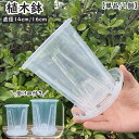 送料無料 植木鉢 単品 1個 14cm 16cm トレイ付き 受け皿付き 鉢植え プランター フラワーポット プラスチック クリア 透明 通気性 排水穴 軽量 園芸 植物 花 フラワー ガーデニング 多肉植物 シンプル