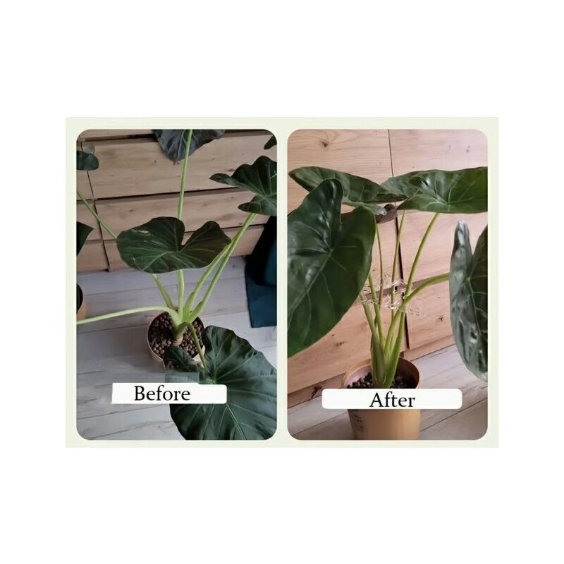 ����̵�� ��ݻ��� 2�ĥ��å� �ַ� �٤� �ե�������� �����ǥ˥� ���������� ���梁���� ���տ�ʪ �� �ե� ����ȭ �ץ�󥿡� Ͷ�� ���ݡ��� ������ ���� ž��ͽ�� ��ñ���� Ʃ�� ���ꥢ