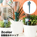 送料無料 自動給水キャップ 自動水やり器 単品 ガーデニング用品 ペットボトル対応 簡単設置 散水器具 給水装置 シンプル 園芸 盆栽 家庭菜園 野菜 植物 プランター 留守中 旅行中 水切れ対策 簡単 便利