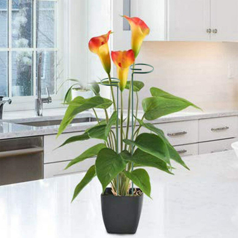 送料無料 植物支柱 3本セット 園芸用支柱 40cm ガーデニング用具 無地 緑 円形 フ...