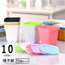 送料無料 植木鉢 フラワーポット プラ鉢 10個セット 7cm 角型 無地 排水 受け皿付き 多肉用 多肉植物 プラスチック 軽量 四角 スクエア かわいい シンプル 室内 屋外 観葉植物 ガーデニング 園芸用品 インテリア雑貨 単色 白 黒 紫 緑 黄 ピンク 青 クリア