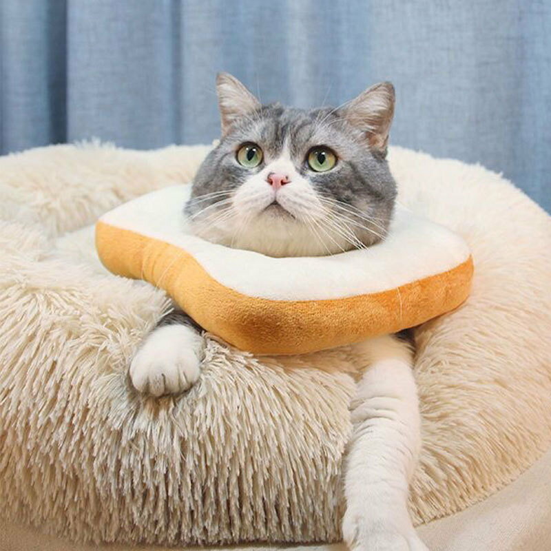 送料無料 エリザベスカラー 猫用 犬用 食パン型 トースト ペット用品 ペットグッズ...