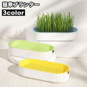 送料無料 猫草プランター 猫草用 プランター 猫草ポット 猫草ボックス 水耕栽培 容器 ケースのみ 鉢 室内 屋内 シンプル おしゃれ ペット用品 ねこ ネコ