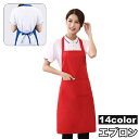 送料無料 エプロン 首掛けエプロン 前掛け 男女兼用 レディース メンズ キッチン雑貨 配膳用品 調理 腰紐 ポケット 胸当てエプロン 無地 単色 シンプル ユ...