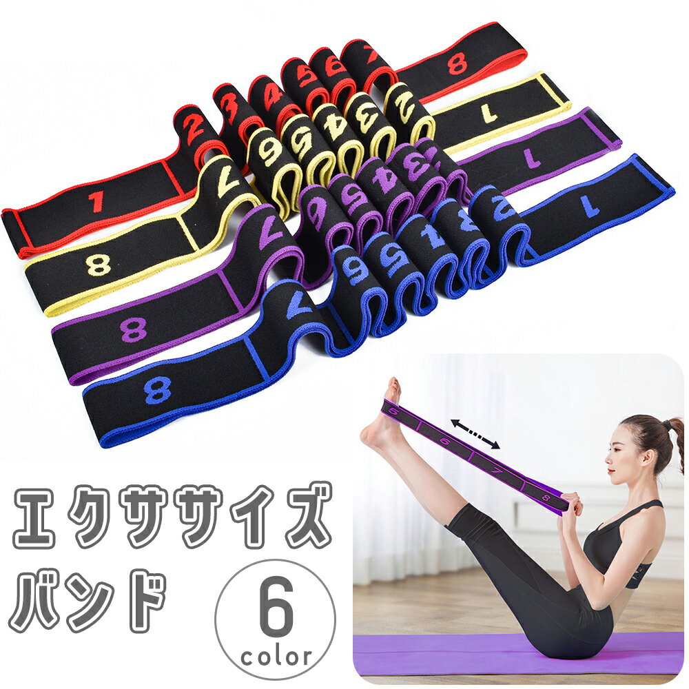 送料無料 エクササイズバンド トレーニングチューブ ストレッチバンド ゴムバンド トレーニングベルト ..