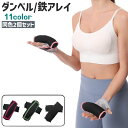 送料無料 ダンベル 鉄アレイ 2個セット サンドダンベル 重り おもり...(4)