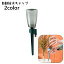 送料無料 自動給水キャップ 自動水やり器 ボトル付き ペットボトル対応 植木鉢 植物 室内 自動散水用具 ガーデニング用品 水切れ対策 園芸 観葉植物 ガーデニング 家庭菜園 シンプル 旅行 留守 出張