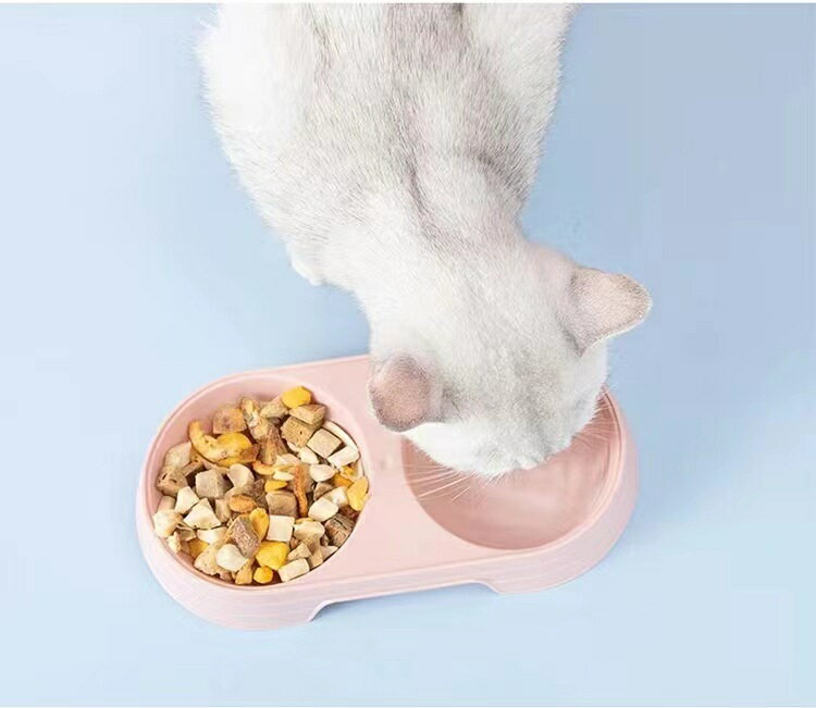 ����̵�� �ա��ɥܥ��� ���֥�ܥ��� ǭ�ѿ��� ���ѿ��� �ڥå��ѿ��� �����������ܥ��� ��� ��� �»� �������� ������ 2Ϣ ���٤䤹�� ���塼�� ���襤�� �ڥå����� �ڥåȥ��å� ���� �ͥ� �ԥ� �� �� ��