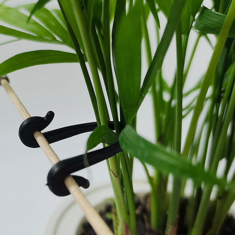 送料無料 園芸フック クリップ 10個セット 園芸用品 ガーデニング 誘引 バンドフック 固定 結束 家庭菜園 支柱用アクセサリー 便利 盆栽 つる