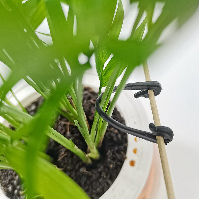 送料無料 園芸フック クリップ 10個セット 園芸用品 ガーデニング 誘引 バンドフック 固定 結束 家庭菜園 支柱用アクセサリー 便利 盆栽 つる