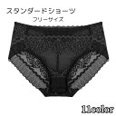 送料無料 スタンダードショーツ レディース インナー ホワイト ブラック ブラウン ピンク メッシュ セクシー 大人っぽい カラバリ豊富