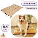 送料無料 ペットベッド ペット用マット 犬 ベッド 中綿入り ペット用品 スリーピングマット 犬用 猫用 ボア あったか 寝具 寝床 中型犬 四角 長方形 ふわふわ 洗える クッション ラグ お昼寝 無地 単色 シンプル 屋内用 室内用