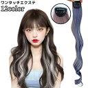 送料無料 エクステ エクステンション ワンタッチ ポイントウィッグ レディース つけ毛 襟足 カール ロング メッシュ グラデーションカラー