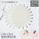 送料無料 カラーチャート ネイルチャート 4枚セット ネイル用品 色見本 20色分 ディスク ラウンド型 楕円 ネイルサロン ネイルポリッシュ見本 ネイリスト 道具 サンプル ナチュラル ホワイト ネイルアート練習 セルフジェルネイル用品 店頭 ショップ ディスプレイ