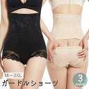 送料無料 ガードルショーツ ハイウエスト レディース 女性用下着 補正下着 産後 インナー パンティー パンツ 大きいサイズ 後ろ開き 無地 フラワー レース 引き締め 冷え防止 おしゃれ 便利 トイレ 婦人用 ベージュ ブラック グリーン 黒 緑