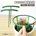 送料無料 園芸支柱 T型支柱 組み立て式 6組セット 植木鉢用 ハーフリング 花支え サポート ガーデニング フラワー 観葉植物 落下 散乱 転倒防止 簡単取付